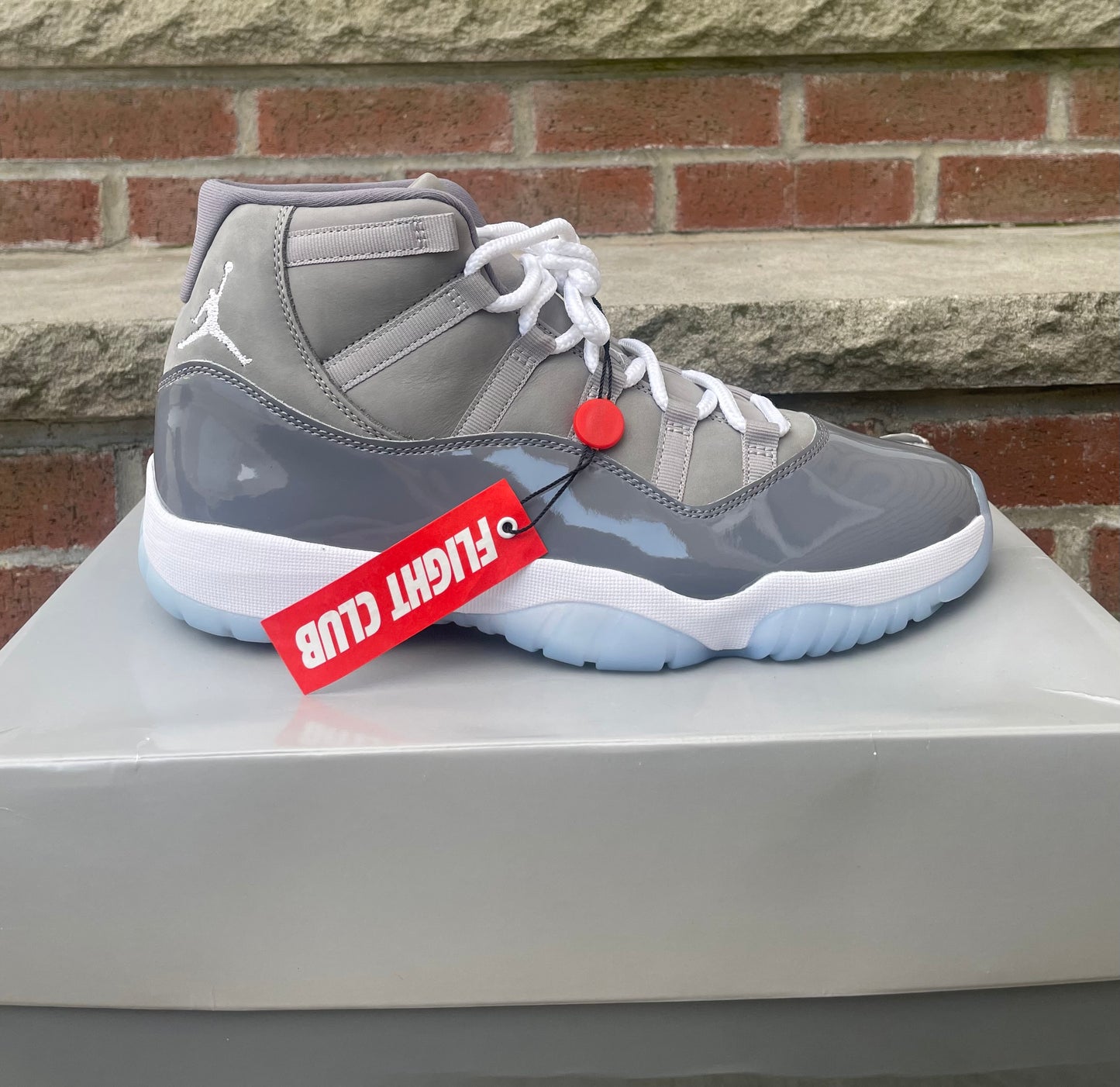 Jordan 11 “Cool Grey”