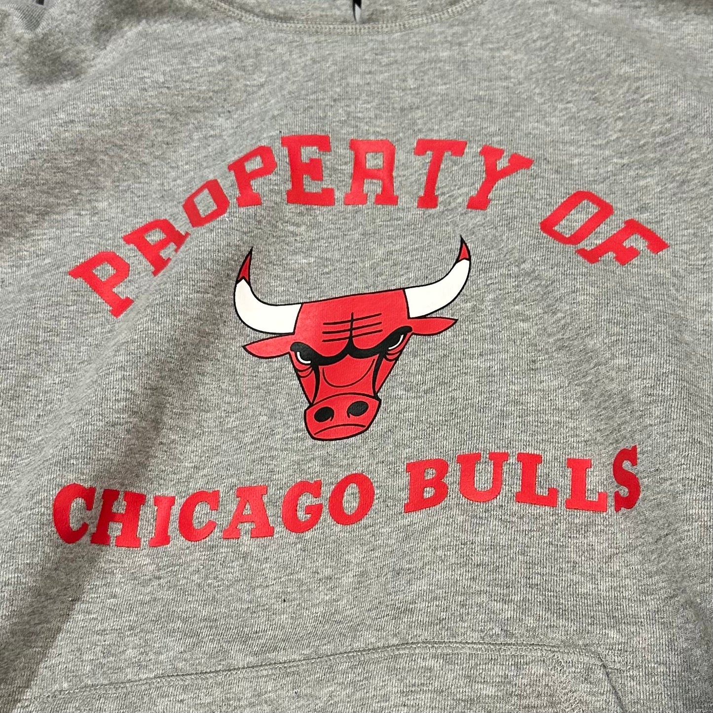 Eric Emmanuel Chicago Bulls Hoodie