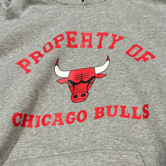 Eric Emmanuel Chicago Bulls Hoodie