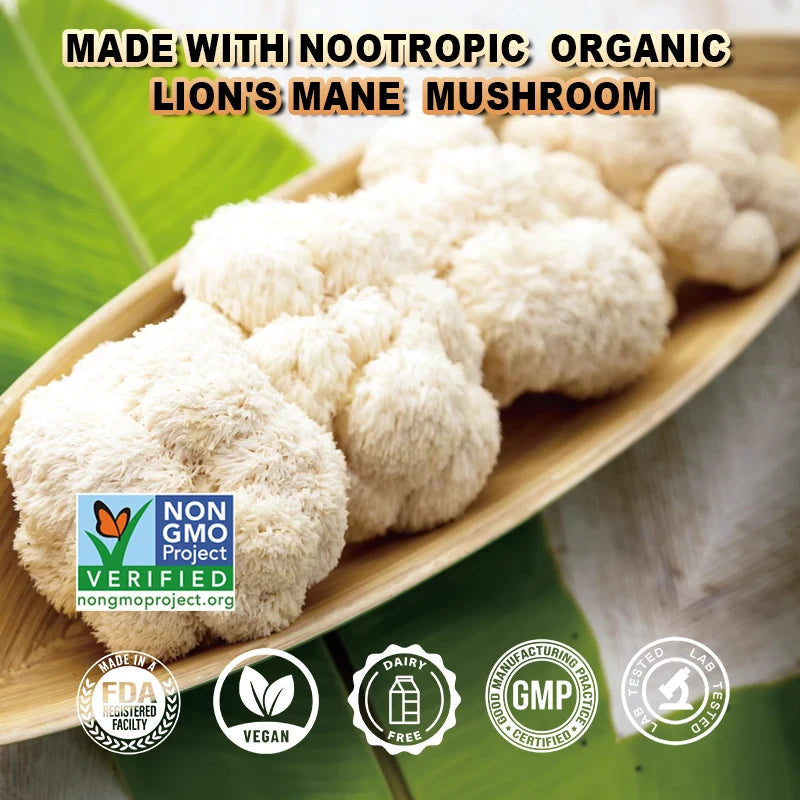 Lion's Mane Mushroom Extract